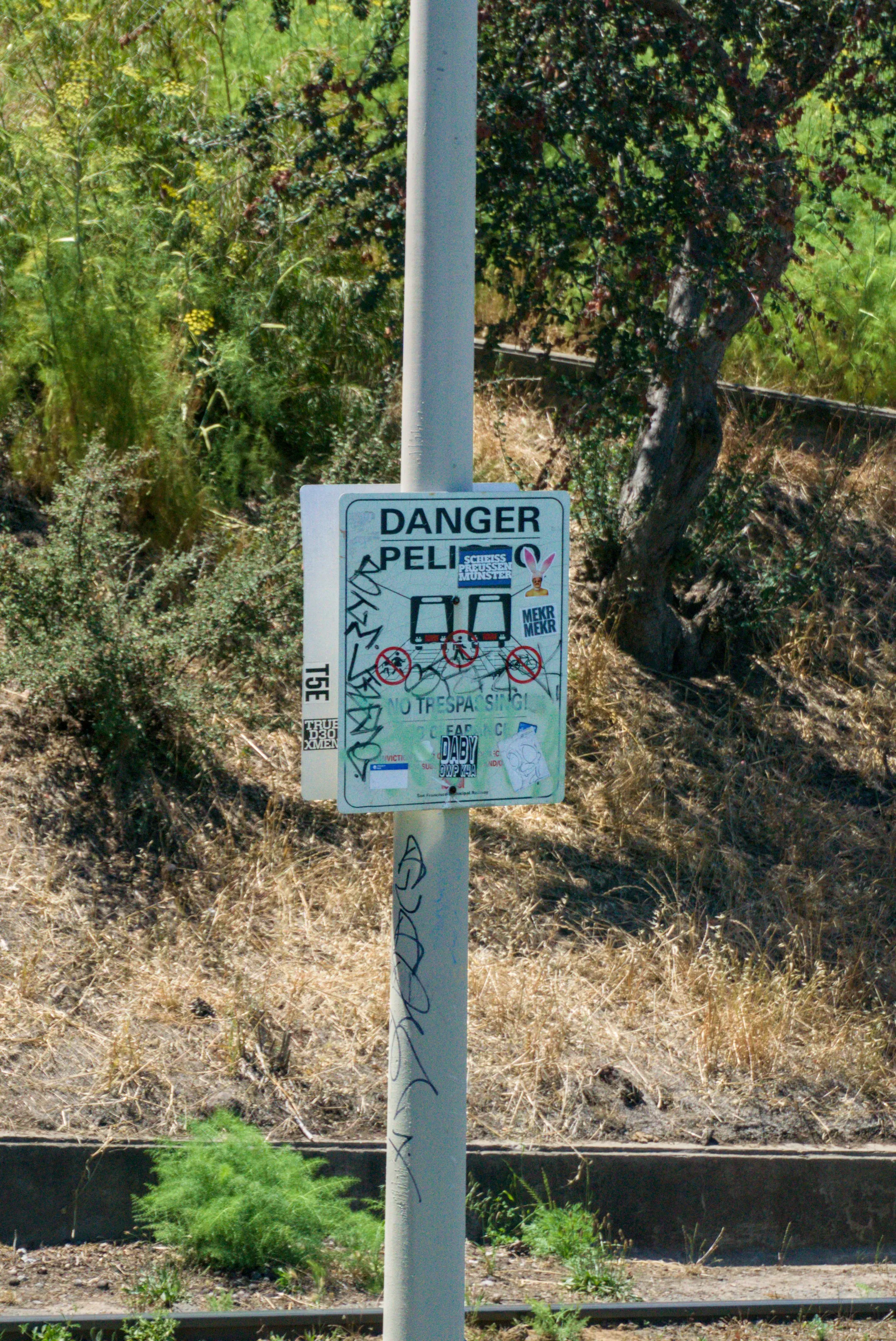 Dsc5911