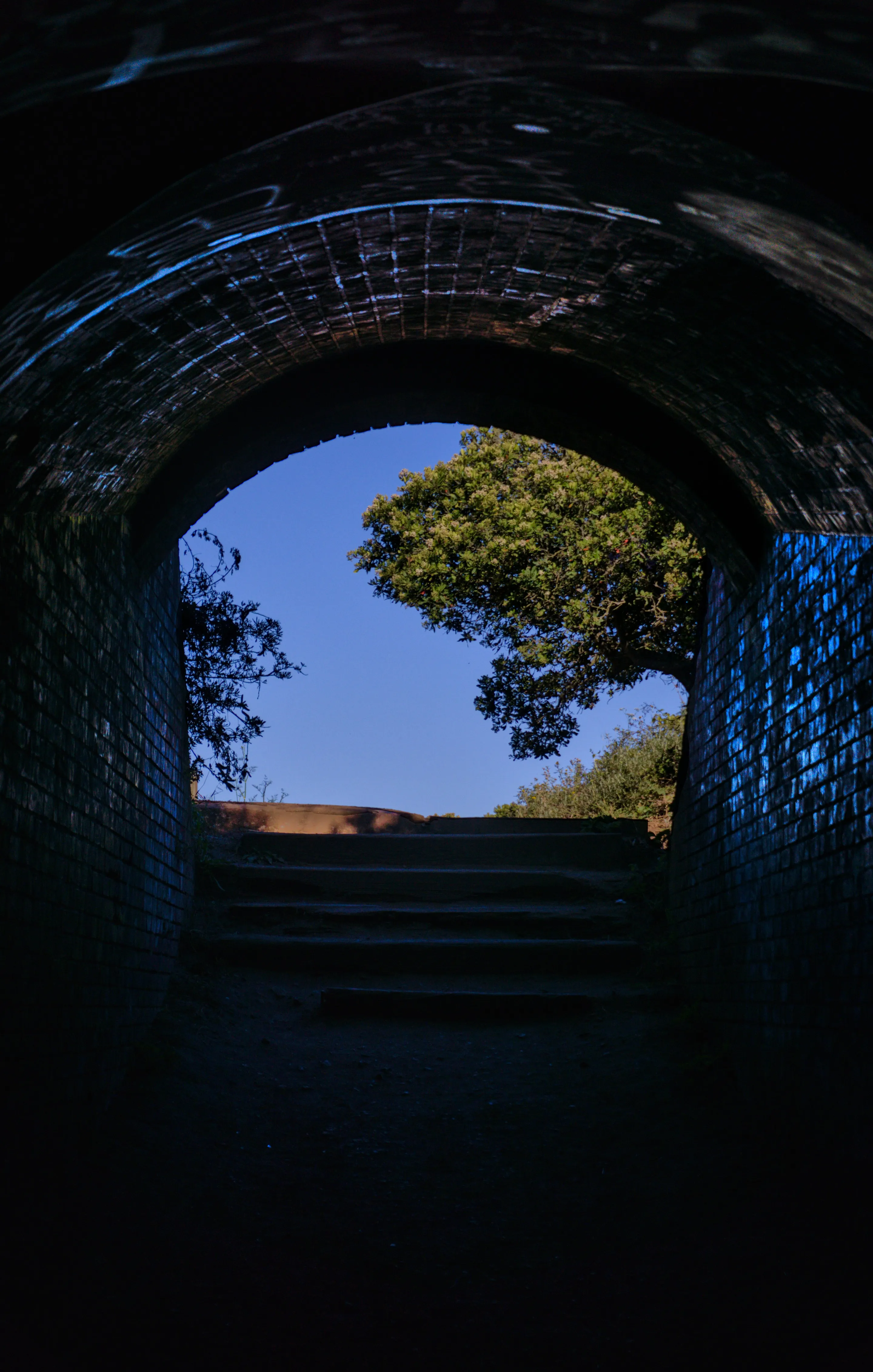 Dsc6191